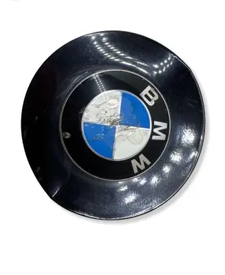 BMW Z4 E85 E86 Front indicator light 69165619 7033066