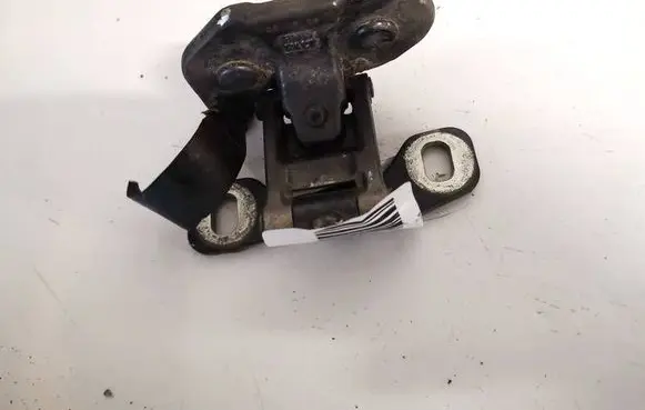 Tailgate/trunk/boot hinge