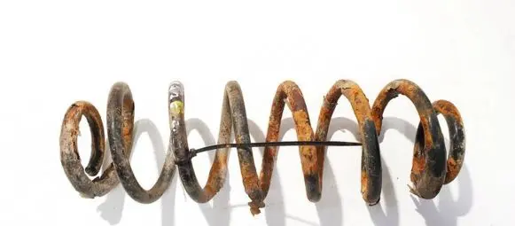 Volkswagen PASSAT B6 Rear coil spring