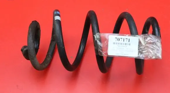 Nissan Qashqai Rear coil spring