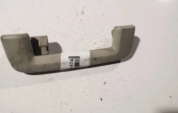 Ford Focus Rear interior roof grab handle