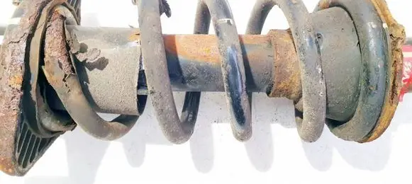 Rear coil spring