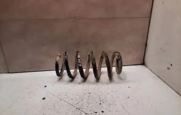 Toyota RAV 4 (XA30) Rear coil spring
