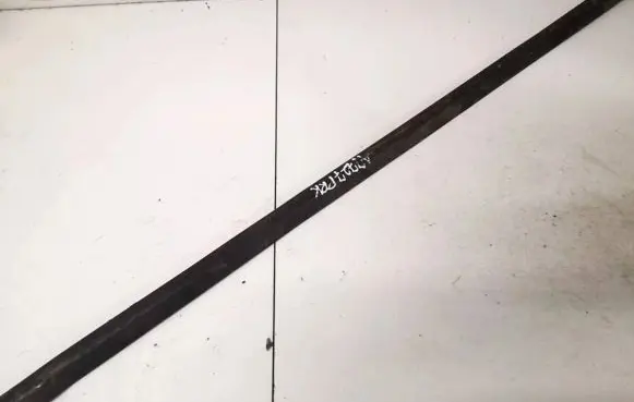 Ford Focus Front door glass trim molding 