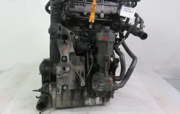 Volkswagen Polo IV 9N3 Engine