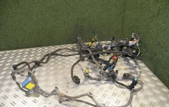 Engine installation wiring loom
