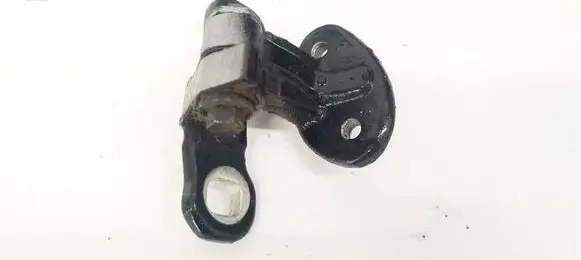 Rear door lower hinge
