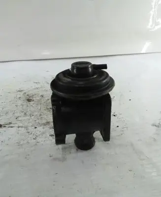 EGR valve