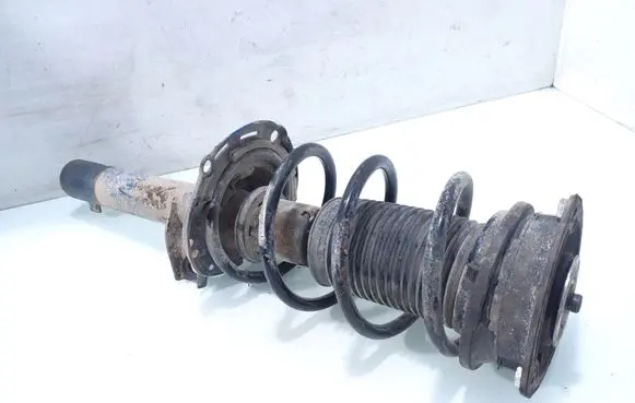 Skoda Octavia Mk3 (5E) Front shock absorber with coil spring 1266230016