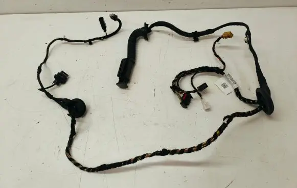 Rear door wiring loom