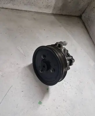 Renault Espace - Grand espace IV Power steering pump 491101736R