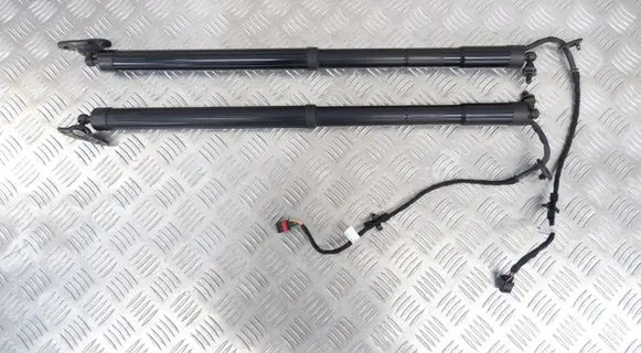 Tailgate strut