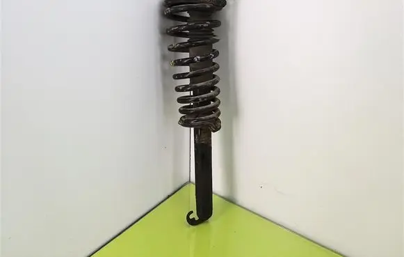 Alfa Romeo 147 Rear shock absorber with coil spring 