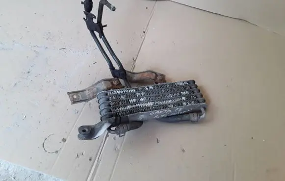 Hyundai Santa Fe Engine oil radiator 2546026510