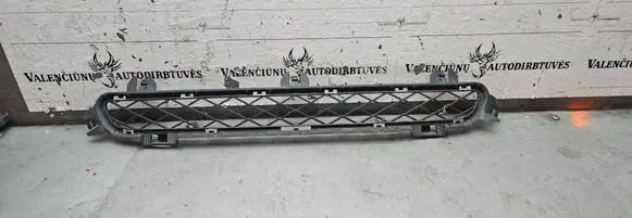 BMW X3 F25 Front bumper lower grill 7210466