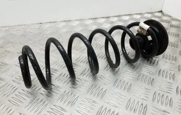 Rear coil spring