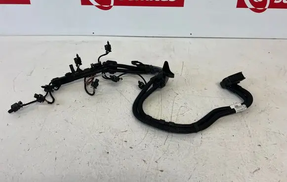 BMW X1 F48 F49 Fuel injector wires 8634246 863424603 8625036