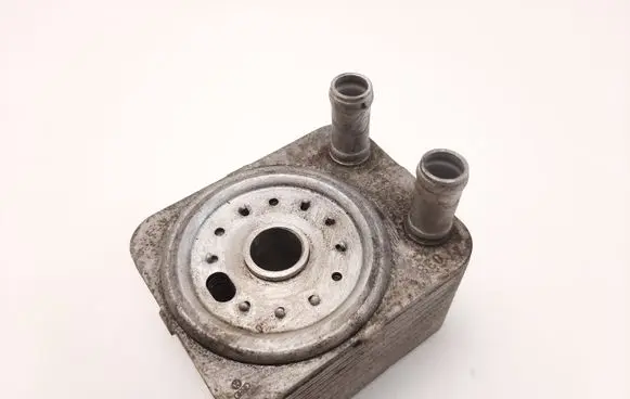 Volkswagen PASSAT B6 Engine oil radiator 