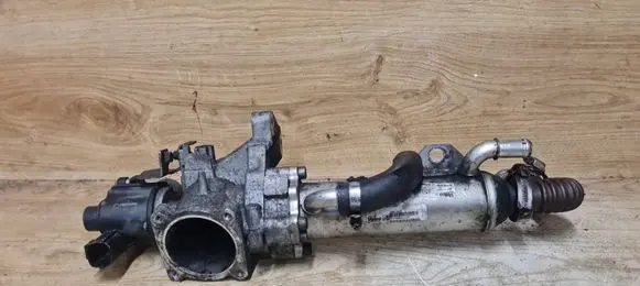 EGR valve cooler