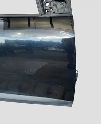 Renault Megane III Front door