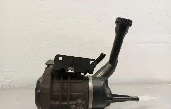 Electric power steering pump