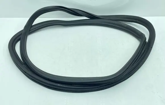 BMW 5 G30 G31 G38 Rear door rubber seal (on body) 7337003
