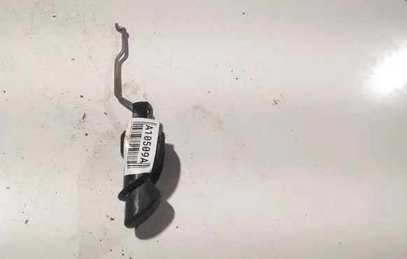 Other rear door trim element