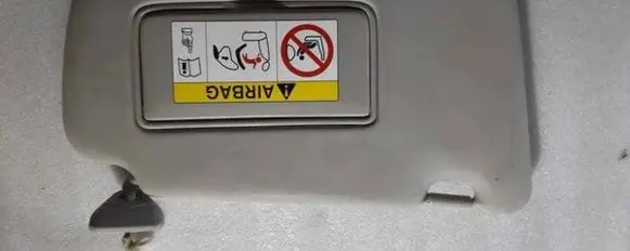Nissan Leaf II (ZE1) Sun visor 8777