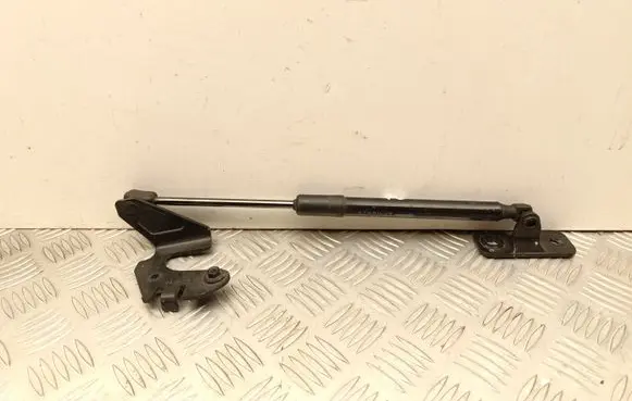 Tesla Model 3 Front bonnet/hood damper/strut 164598900A