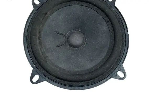 Dacia Duster Rear door speaker 