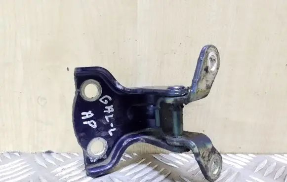Chevrolet Captiva Rear door lower hinge