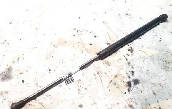 Front bonnet/hood damper/strut