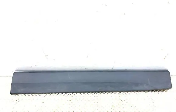 Ford Ecosport Front door trim (molding) CN1520848CAW