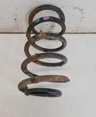 Rear coil spring