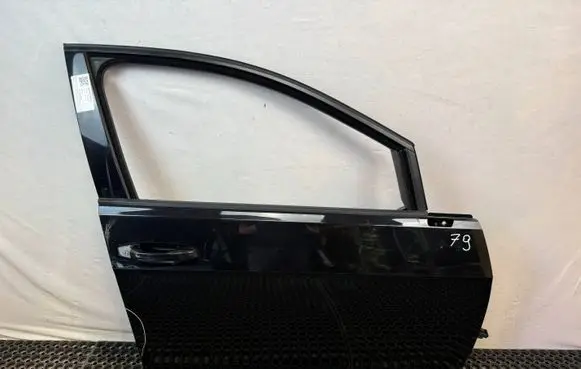 Volkswagen Golf VII Front door