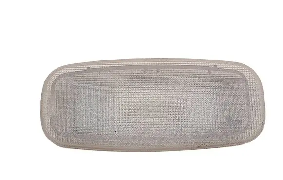 Rear seat light