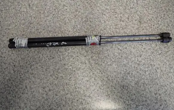 Tailgate strut