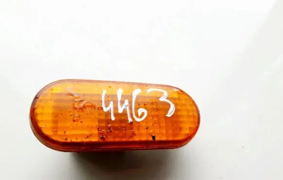 Front fender indicator light