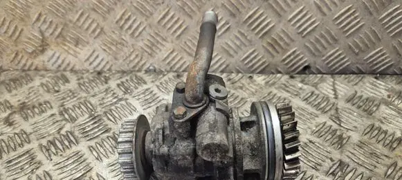 Volkswagen Transporter - Caravelle T5 Power steering pump 070145249
