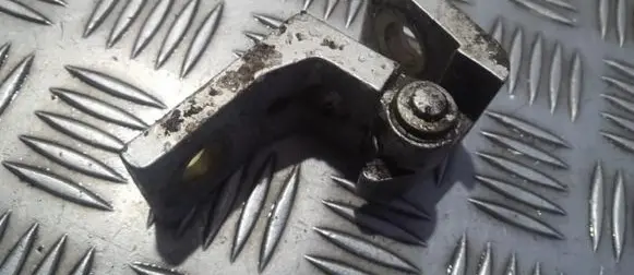 Rear door lower hinge