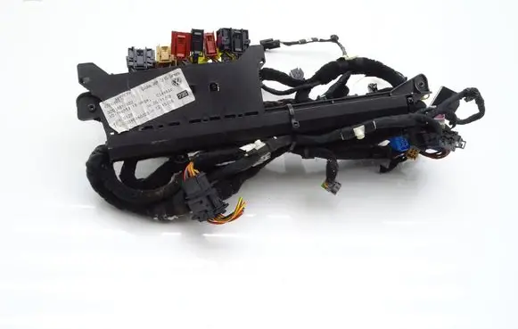 Volkswagen Phaeton Front door wiring loom 3D0881022