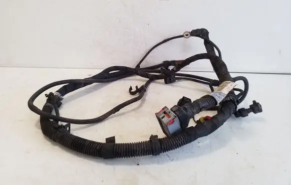 Other wiring loom