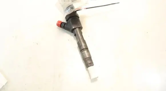 Renault Laguna II Fuel injector 0445110021