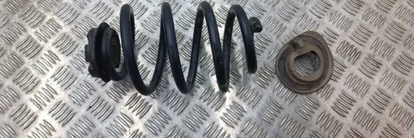 Nissan Leaf II (ZE1) Rear coil spring