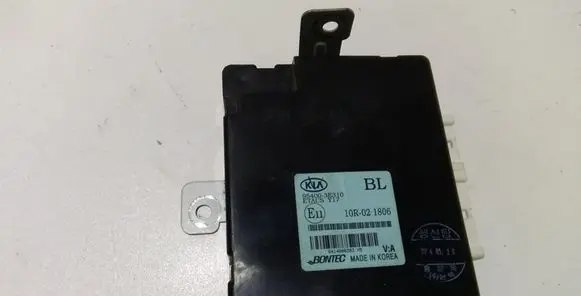 KIA Sorento Other control units/modules 954003E310