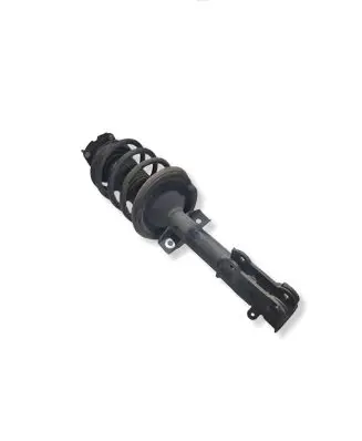 Ford Mustang V Front shock absorber with coil spring BR3318045AE