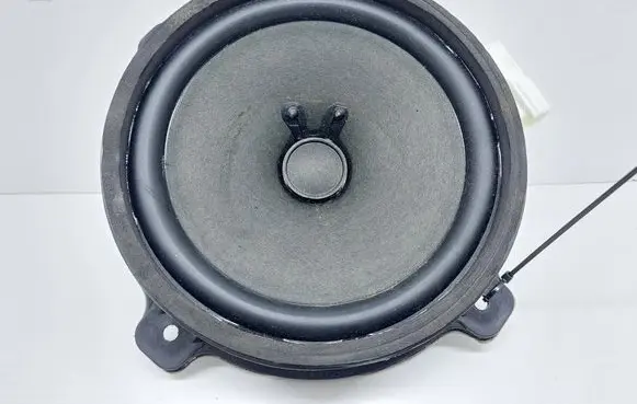 Opel Antara Front door speaker 25907869
