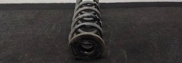 Rear coil spring