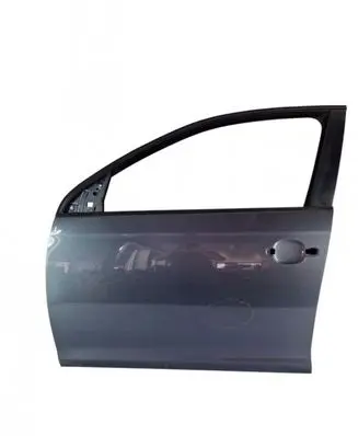 Volkswagen Golf V Front door