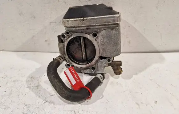 Throttle body valve